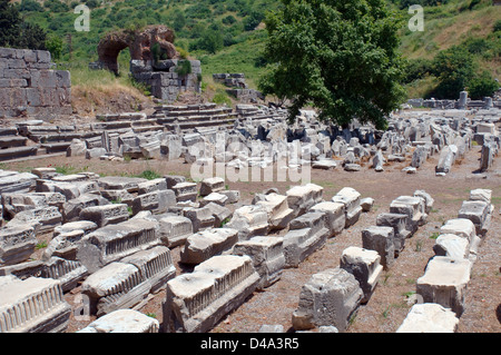 Antique city of Ephesus, Efes, Turkey, Western Asia Stock Photo