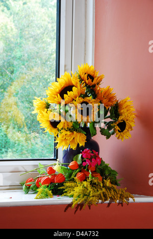 A vase of cut sunflowers in vase on a window sill with family photos ...