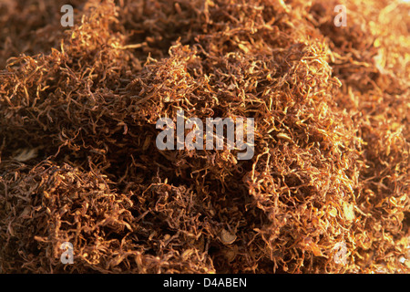 abstract full frame background showing closeup fine-cut tobacco Stock Photo