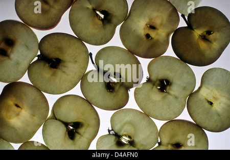 Apple cross sections. Stock Photo