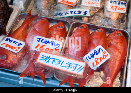Red snapper for sale near Tsukiji Wholesale Fish Market, the world's largest fish market in Tokyo, Japan. Stock Photo