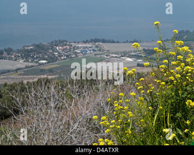 A westward view from the Peace Vista on the Golan Heights illustrates the vulnerability of Israeli villages on the shores of the Sea of Galilee below, to military aggression from above. Golan Heights, Israel. 10-Mar-2013.   A Syrian stronghold on the south-western Golan Heights, which served to launch rocket and missile fire at Israeli villages on the shores of the Sea of Galilee until 1967, is transformed into the Peace Vista Observatory, east of Lake Kinneret. Stock Photo