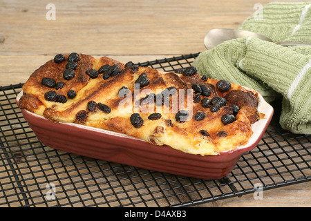 Home baked bread and butter pudding with mixed fruit on a cooling rack Stock Photo