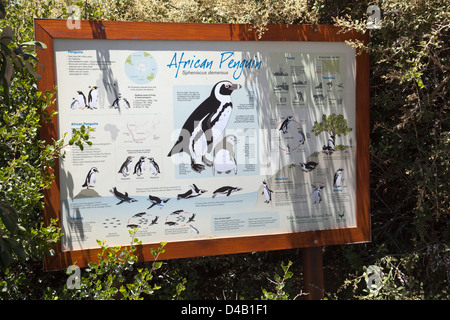 Sign with Penguin Info at Boulders Beach in Western Cape - South Africa Stock Photo