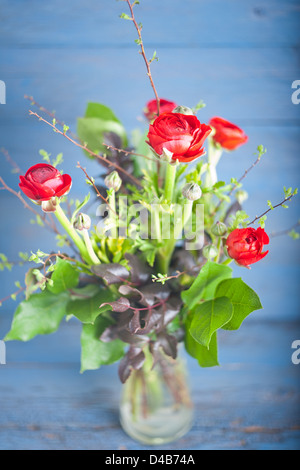 Bouquet of red ranunculus in a glass vase on a blue wooden background Stock Photo