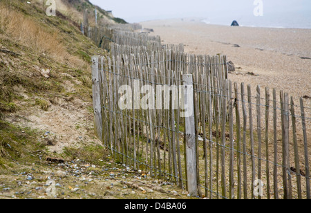 Soft engineering coastal defences at Dunwich, Suffolk, England Stock Photo