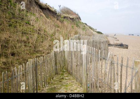 Soft engineering coastal defences at Dunwich, Suffolk, England Stock Photo