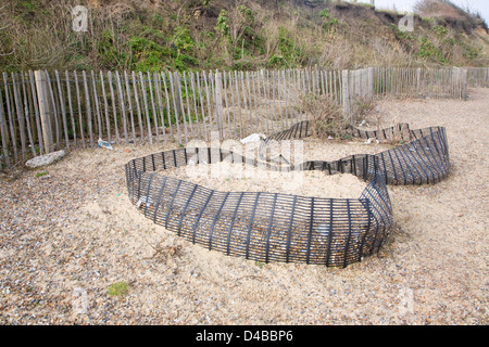 Soft engineering coastal defences at Dunwich, Suffolk, England Stock Photo