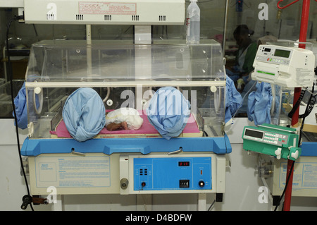 Premature babies are placed in incubator as they have not fully developed the mechanisms for body heat control. Stock Photo