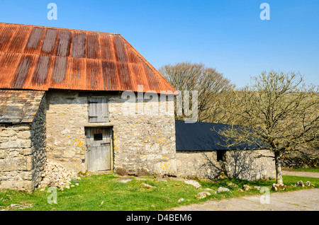 An old barn with a red corrugated iron roof on Dartmoor near Dartmeet, Devon, England. Stock Photo