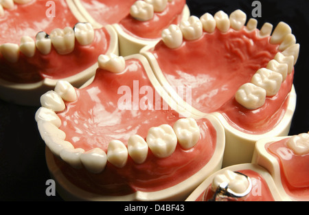 Dentures or false teeth made acrylic base on acrylic or ceramic teeth mounted Dentures custom made per individual remain in Stock Photo