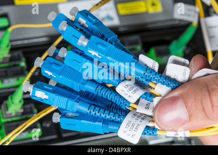 hand of administrator holding bunch of optic fiber cables with connectors Stock Photo
