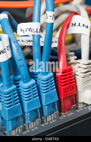 close-up of network hub and ethernet cables Stock Photo