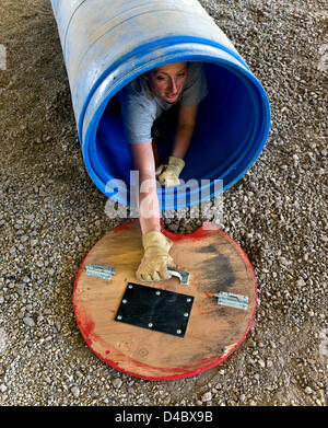 March 01, 2013 - Santa Paula, CA, US - Trainer Lyz Gregory grabs the barrel lid to shut herself in during search and alert training in the barrel field at the Search Dog Foundation Training Center.  The SDF is a non-profit, non-governmental organization which strengthens disaster preparedness in the US by partnering rescued dogs with firefighter handlers to find people buried alive in the wreckage of disasters.  The teams are provided at no cost to fire departments and other emergency agencies throughout the country.  SDF teams have aided in dozens of disasters, including the 9/11 attack, the  Stock Photo