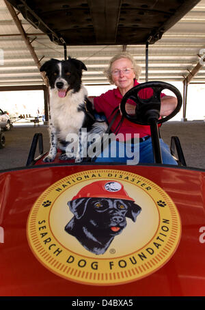 March 01, 2013 - Santa Paula, CA, US - Search Dog Foundation founder and CEO Wilma Melville poses with a border collie named Skye on the grounds of the Search Dog Foundation Training Center.  The SDF is a non-profit, non-governmental organization which strengthens disaster preparedness in the US by partnering rescued dogs with firefighter handlers to find people buried alive in the wreckage of disasters.  The teams are provided at no cost to fire departments and other emergency agencies throughout the country.  SDF teams have aided in dozens of disasters, including the 9/11 attack, the Oklahom Stock Photo