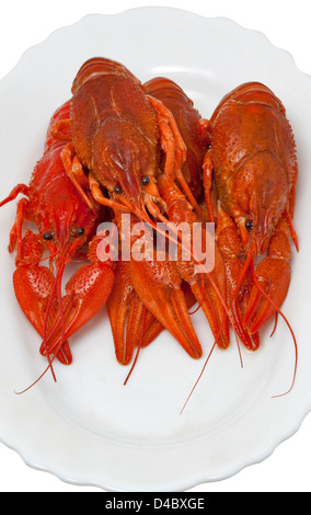 red cooked crawfish group closeup on white plate Stock Photo
