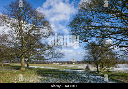 Beverley Westwood, open pasture with a view in the distance of Beverley Minster (church) in winter on a bright sunny day. Stock Photo