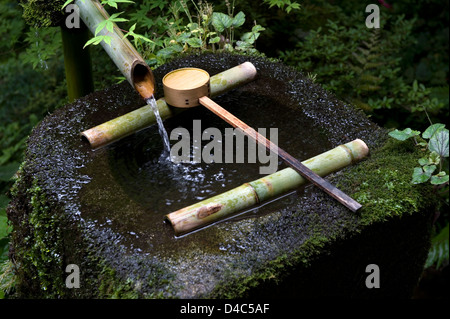 Water flowing from a bamboo spout into a tsukubai (stone water basin) with bamboo hishaku ladle in a Japanese garden. Stock Photo