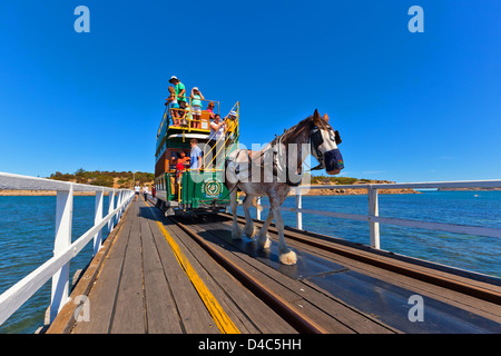 Granite Island horse drawn tram people tourism tourists Clydesdale historical Victor Harbor Fleurieu Peninsula South Australia Stock Photo