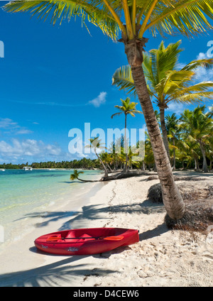 Playa Bavaro, Punta Cana, Dominican Republic, the Caribbean, America Stock Photo