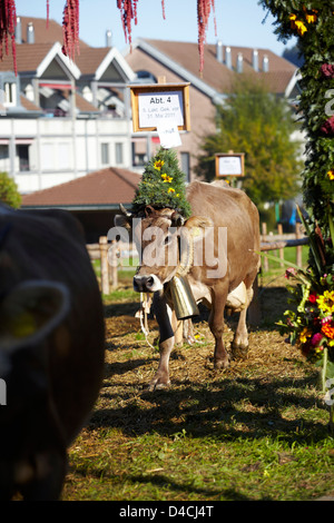 Heiden AR, Kanton Appenzell Ausserrhoden, Switzerland, Europe Stock Photo