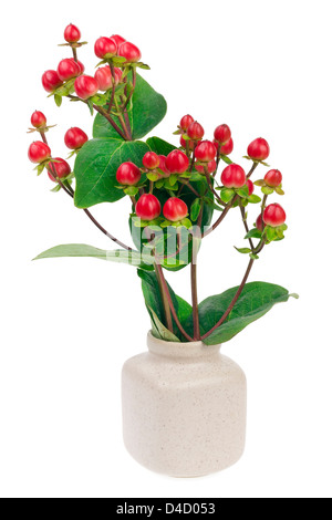 minimalistic bouquet number 22 - mini red berries on green branches in ceramic pot vase isolated Stock Photo