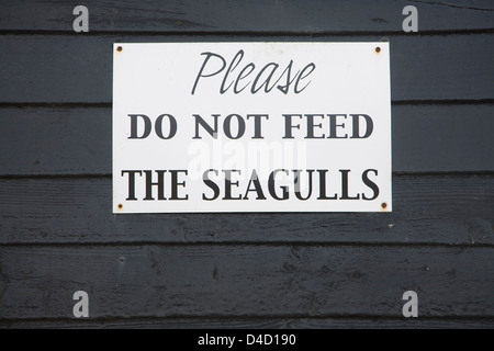 Please Do Not Feed the Seagulls sign Stock Photo