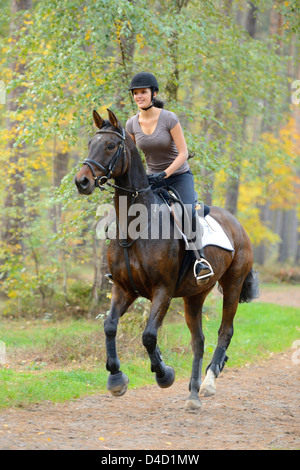 A young woman riding her horse on the beach at sunset Stock Photo - Alamy