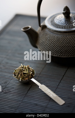 Spoon of green tea and teapot Stock Photo