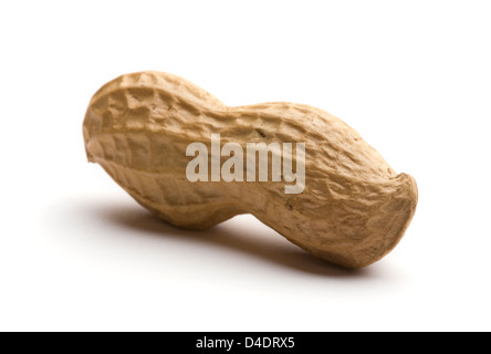 Peanut isolated on white background Stock Photo