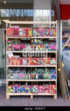 Packets of flower seeds for sale outside of a shop Stock Photo