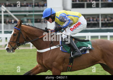 Cheltenham, UK. 12th March 2013.  Overturn ridden by Jason Maguire in The Racing Post Arkle Challenge Trophy Chase on Day one (Champion Day ) of the Cheltenham National Hunt Festival.  Credit: Action Plus Sports Images / Alamy Live News Stock Photo