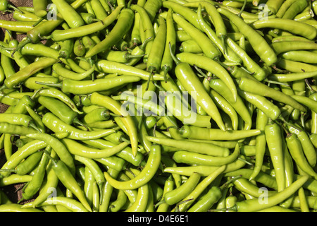 Heap of banana pepper,  Capsicum annuum India Stock Photo