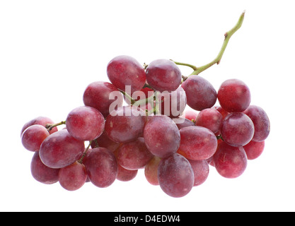 Red grape bunch isolated on white