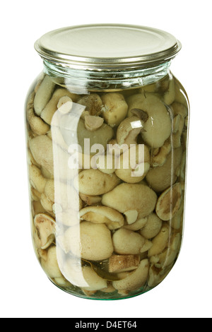 Glass jar with marinated mushrooms isolated on a white background Stock Photo