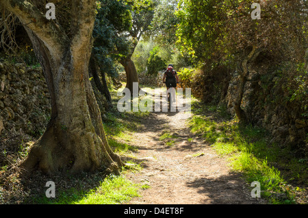 Mountain biker on an ancient path on Menorca in the Balearic islands, Spain Stock Photo