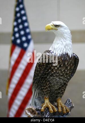 A newly unveiled American Bald Eagle sculpture, created by Meissen Porcelain Manufactory workshops, is pictured in the entrance hall to the new US embassy in Berlin, Germany, 26 May 2008. The new building of the US embassy will officially open on 04 July 2008. Photo: JOHANNES EISELE Stock Photo