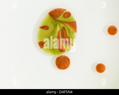 macro of round drops of oil mixed with green and red pigment floating on water, isolated on white Stock Photo