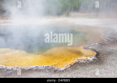 Steam rising from natural pool Stock Photo