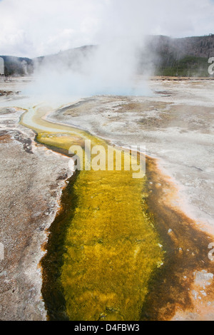 Steam rising from hot spring in basin