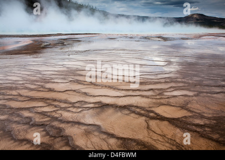 Steam rising from hot spring Steam rising from hot spring