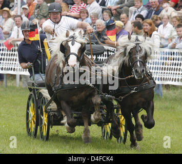 The German team is pictured during the carriage and pair run of the draft horse race 'Kaltblutrennen' in Brueck, Germany, 28 June 2008. The 7th draft horse race is themed 'Titans of the race course' and offers various races and shows. Photo: BERND SETTNIK Stock Photo