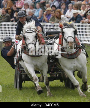 An unidentified team is pictured during the carriage and pair run of the draft horse race 'Kaltblutrennen' in Brueck, Germany, 28 June 2008. The 7th draft horse race is themed 'Titans of the race course' and offers various races and shows. Photo: BERND SETTNIK Stock Photo