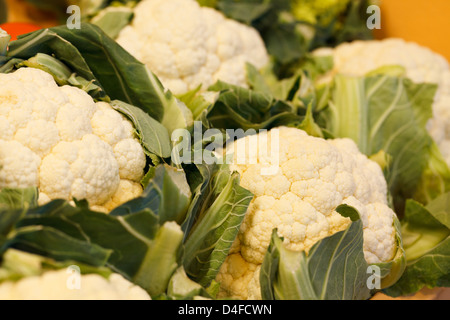 Berlin, Germany, cauliflower at Fruit Logistica 2011 Stock Photo