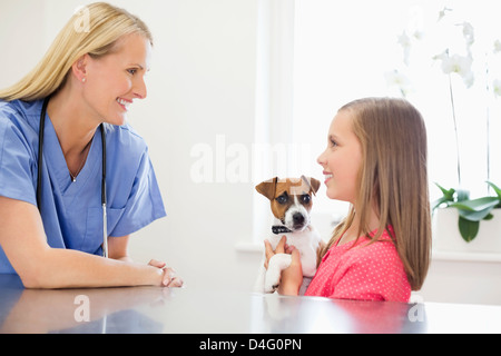 Veterinarian and owner examining dog in vet's surgery Stock Photo