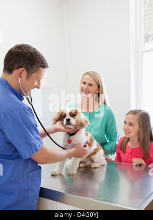 Veterinarian and owners examining dog in vet's surgery Stock Photo