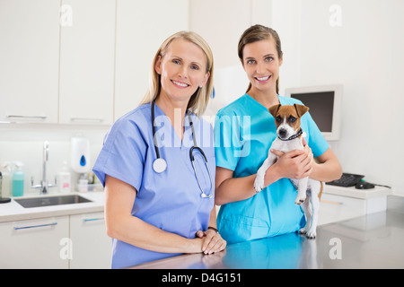 Veterinarians holding dog in vet's surgery Stock Photo
