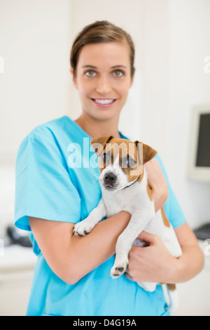 Veterinarian holding dog in vet's surgery Stock Photo