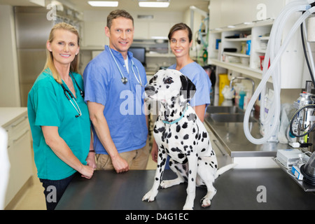 Veterinarians smiling with dog in vet's surgery Stock Photo