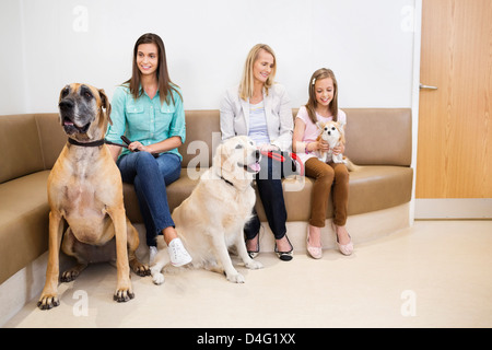 Owners bringing dogs to vet's surgery Stock Photo